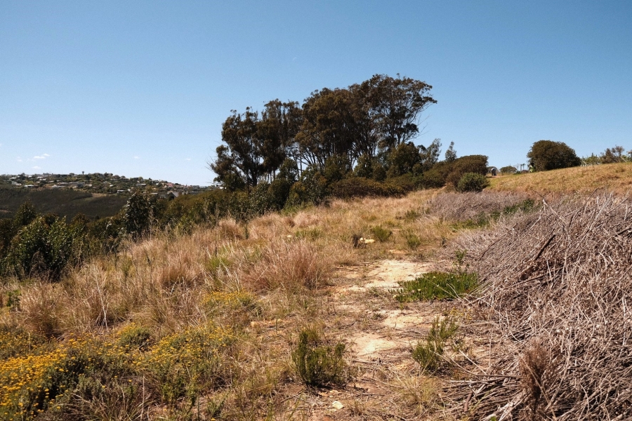 0 Bedroom Property for Sale in Estuary Heights Western Cape